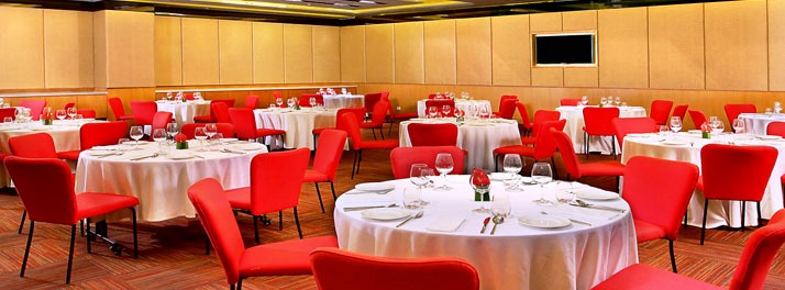 402/ibis Delhi Airport Hotel - New Delhi - 05.jpg